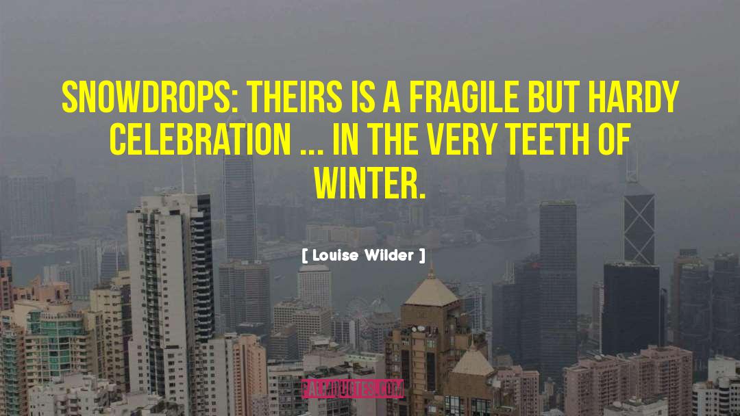 Snowdrops quotes by Louise Wilder