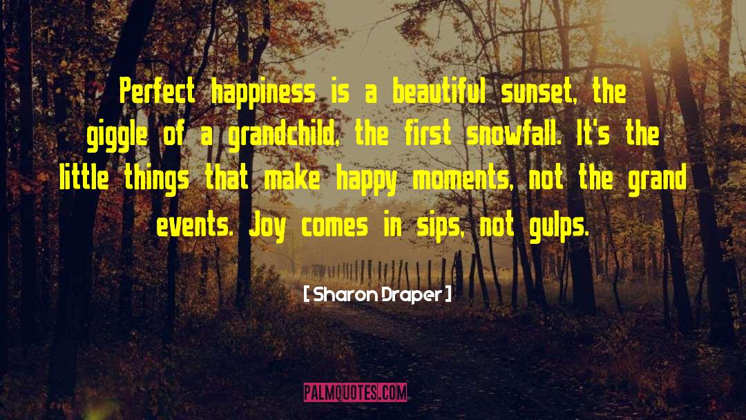 Snowfall Best quotes by Sharon Draper