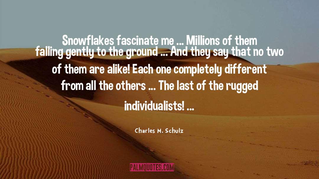 Snowflake quotes by Charles M. Schulz