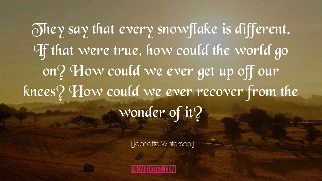 Snowflake quotes by Jeanette Winterson