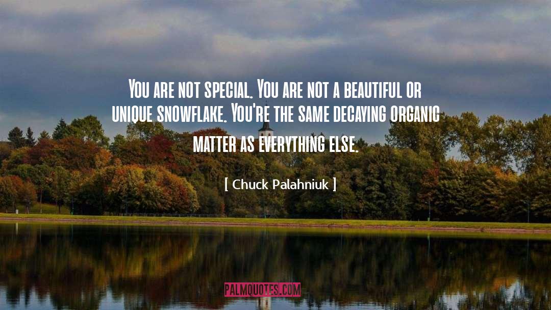 Snowflake quotes by Chuck Palahniuk