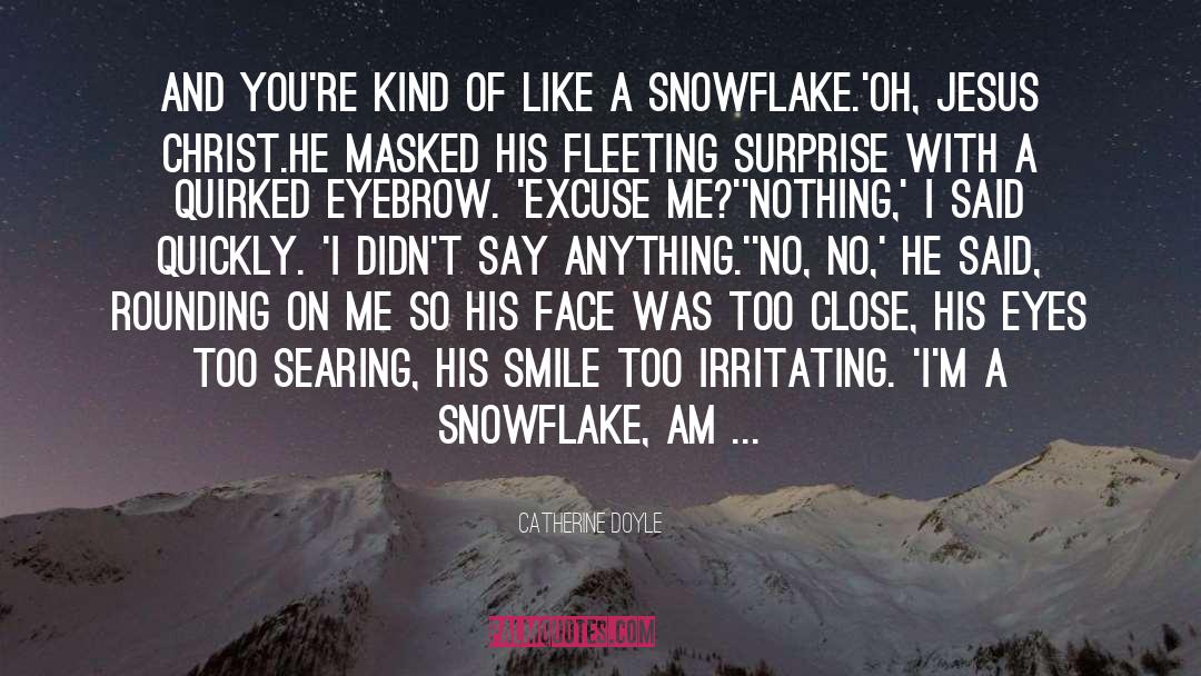 Snowflake quotes by Catherine Doyle