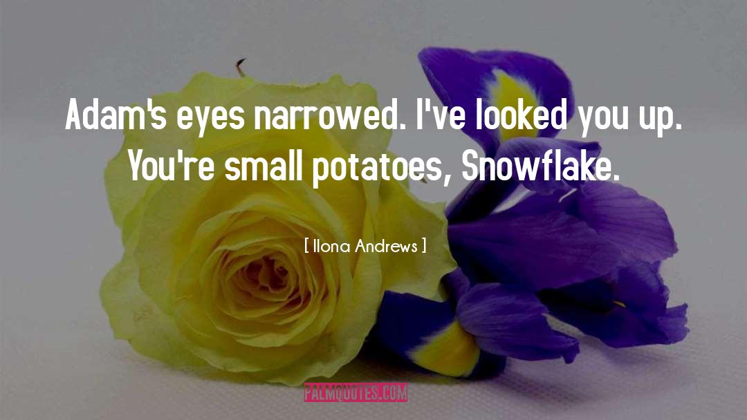 Snowflake quotes by Ilona Andrews