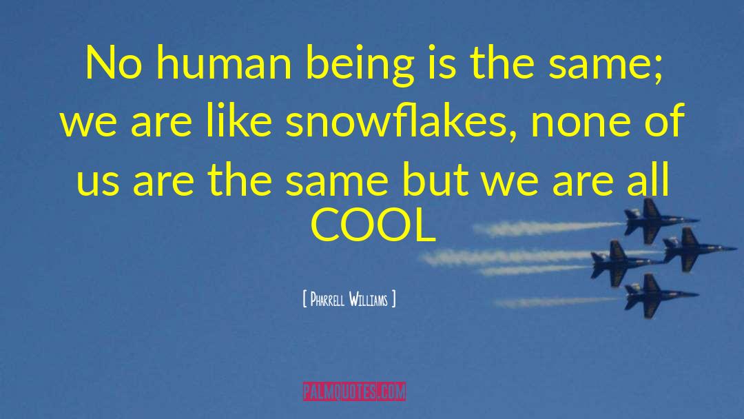 Snowflake quotes by Pharrell Williams