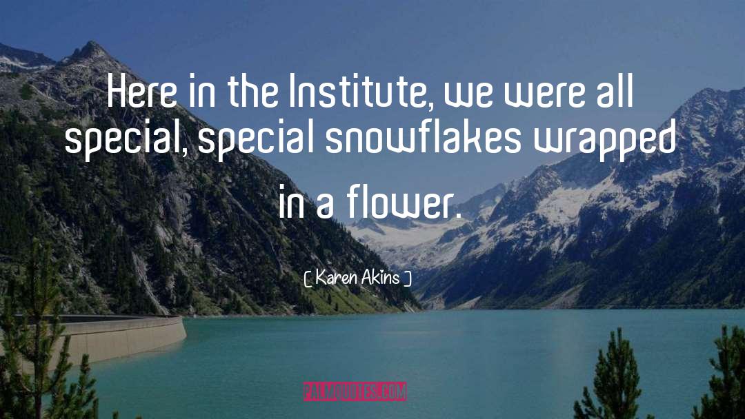 Snowflakes quotes by Karen Akins