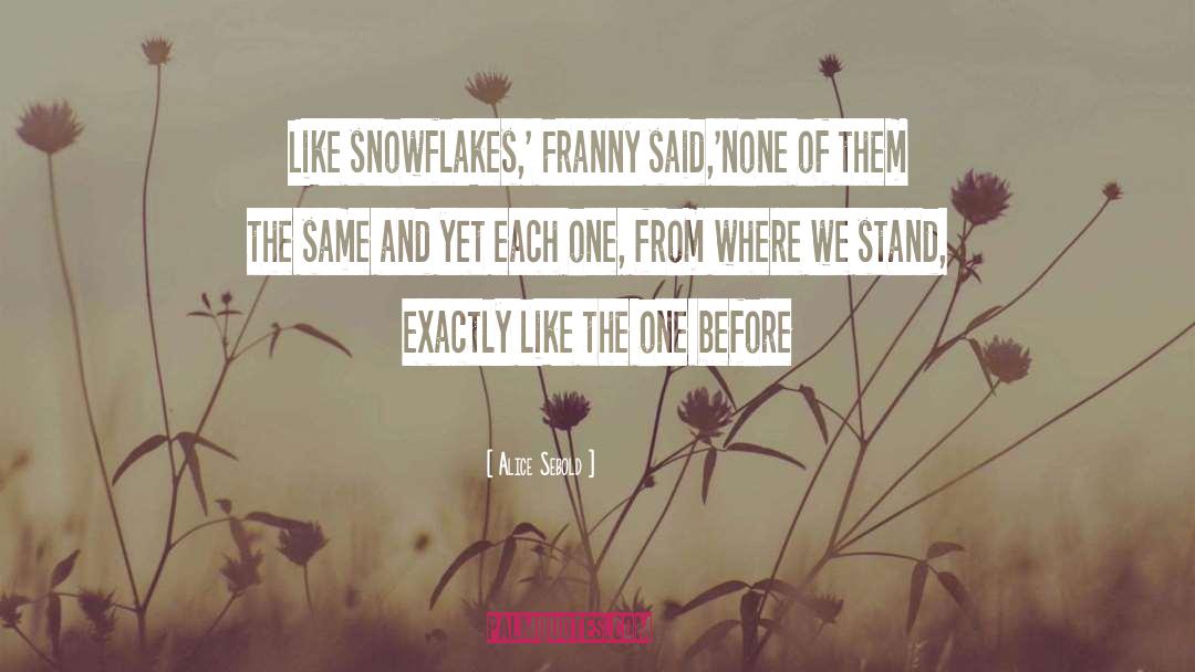 Snowflakes quotes by Alice Sebold