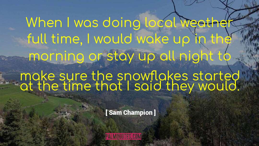 Snowflakes quotes by Sam Champion