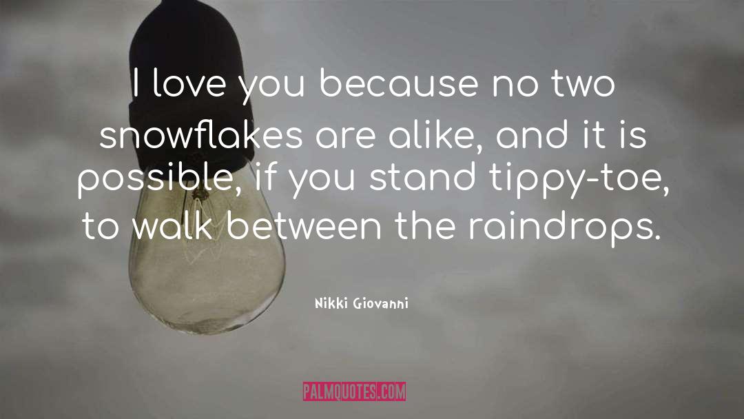 Snowflakes quotes by Nikki Giovanni