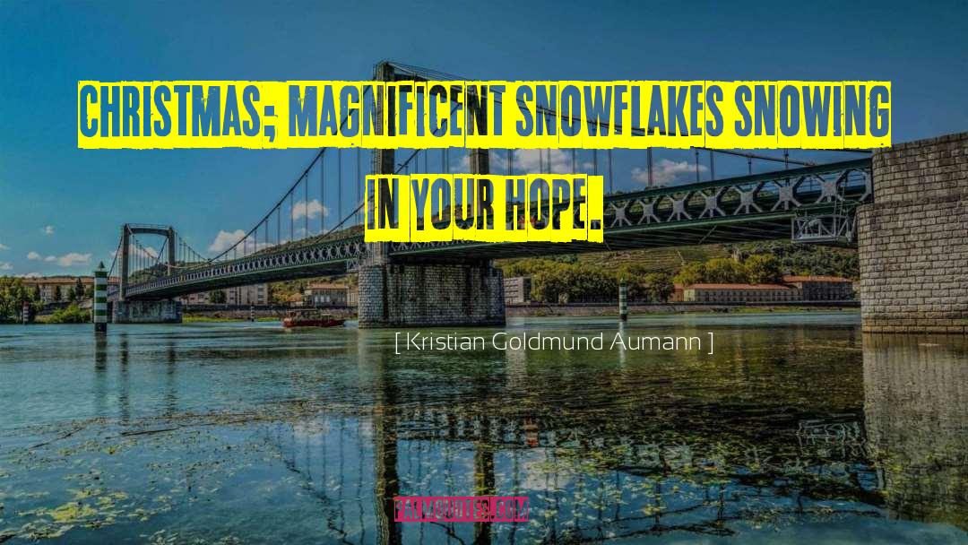 Snowflakes quotes by Kristian Goldmund Aumann
