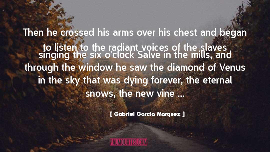 Snows quotes by Gabriel Garcia Marquez