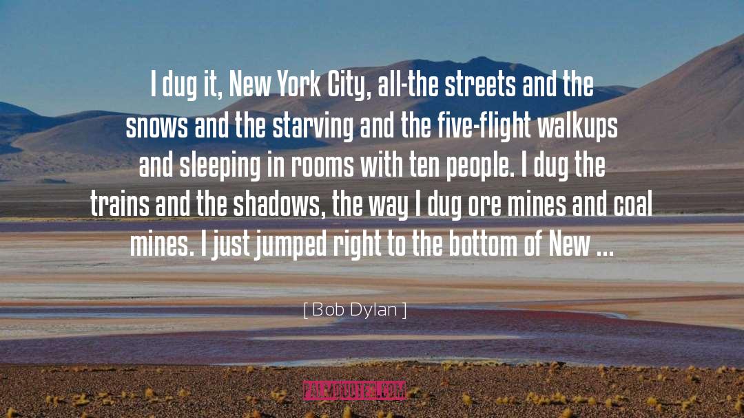 Snows quotes by Bob Dylan