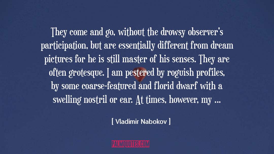 Snows quotes by Vladimir Nabokov