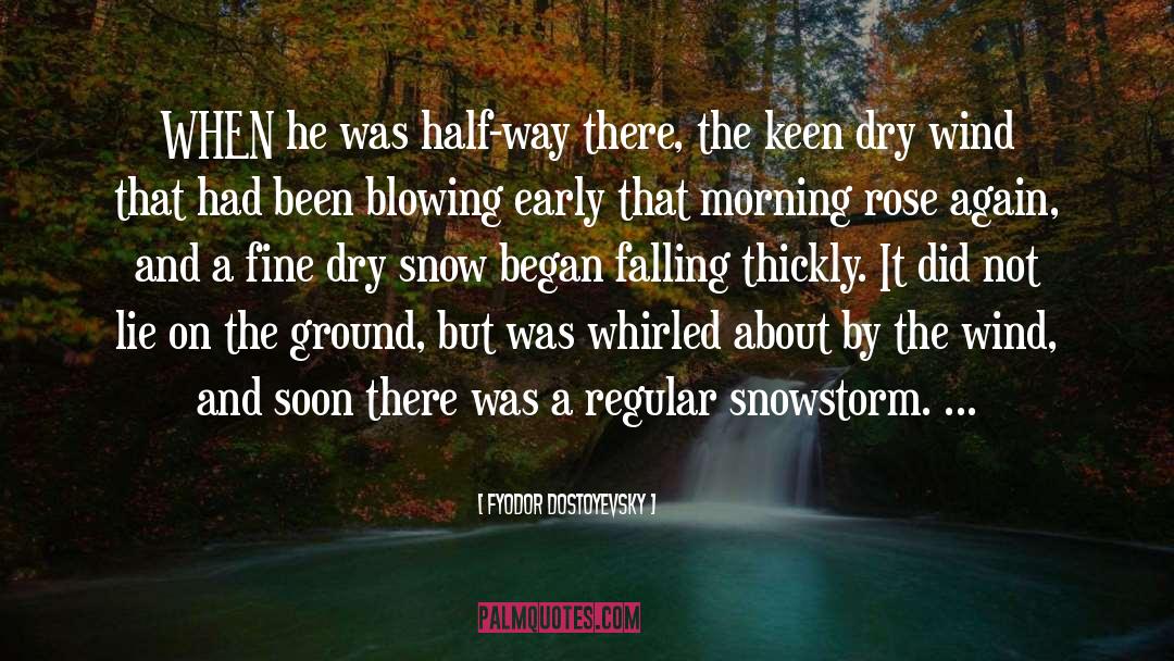 Snowstorm quotes by Fyodor Dostoyevsky