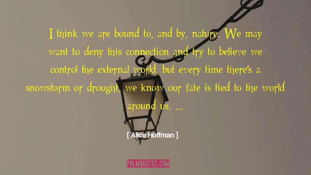 Snowstorm quotes by Alice Hoffman