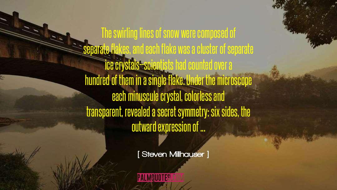 Snowstorm quotes by Steven Millhauser