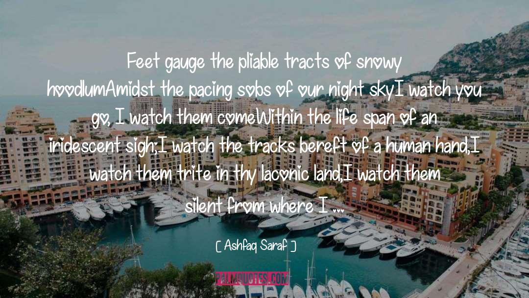 Snowy quotes by Ashfaq Saraf