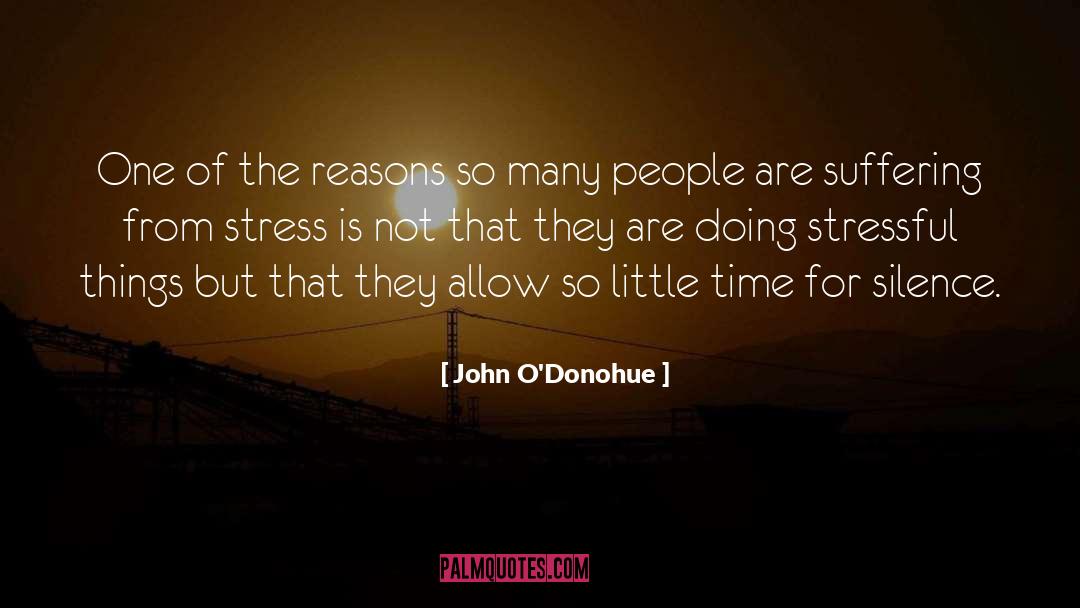 So Little Time quotes by John O'Donohue