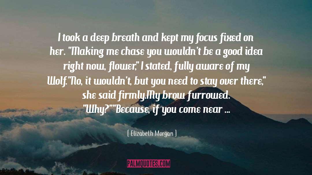 So You Want To Be A Writer quotes by Elizabeth Morgan