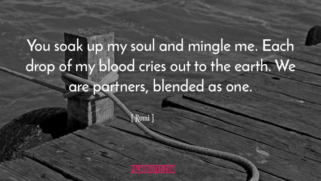 Soak quotes by Rumi
