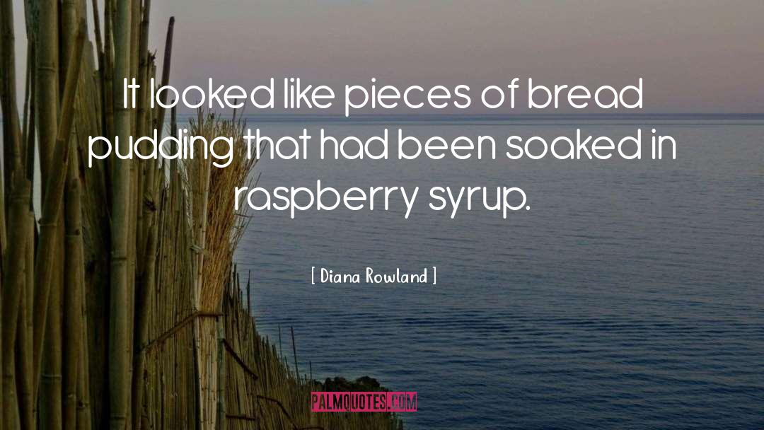 Soaked quotes by Diana Rowland