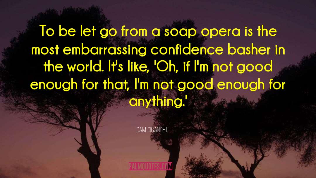 Soap Opera quotes by Cam Gigandet