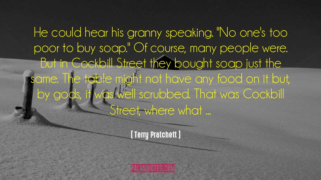 Soap Operas quotes by Terry Pratchett