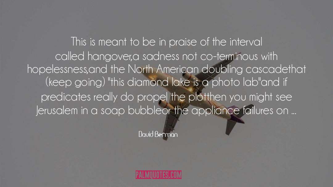Soap quotes by David Berman