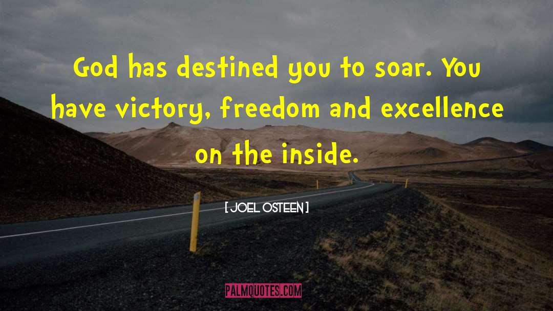 Soar quotes by Joel Osteen