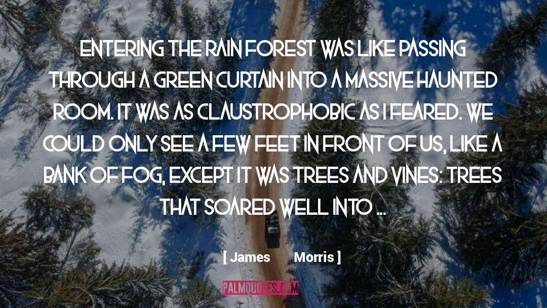 Soared quotes by James       Morris