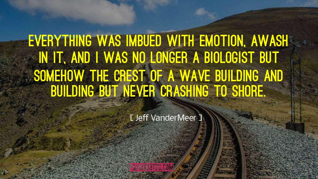 Soaring And Crashing quotes by Jeff VanderMeer