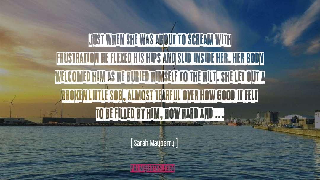 Sob quotes by Sarah Mayberry