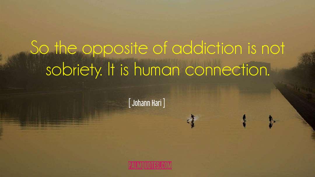 Sobriety quotes by Johann Hari