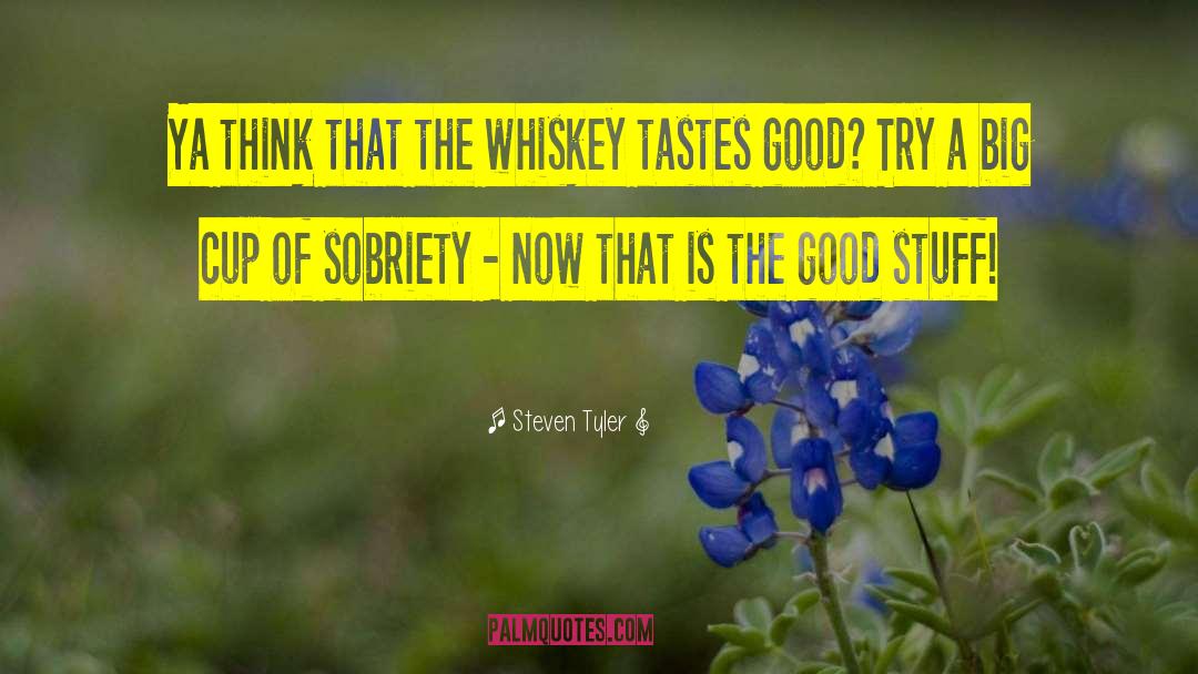 Sobriety quotes by Steven Tyler