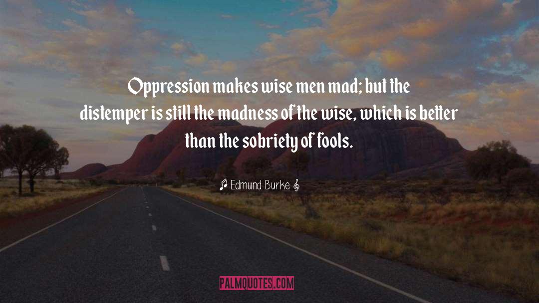Sobriety quotes by Edmund Burke
