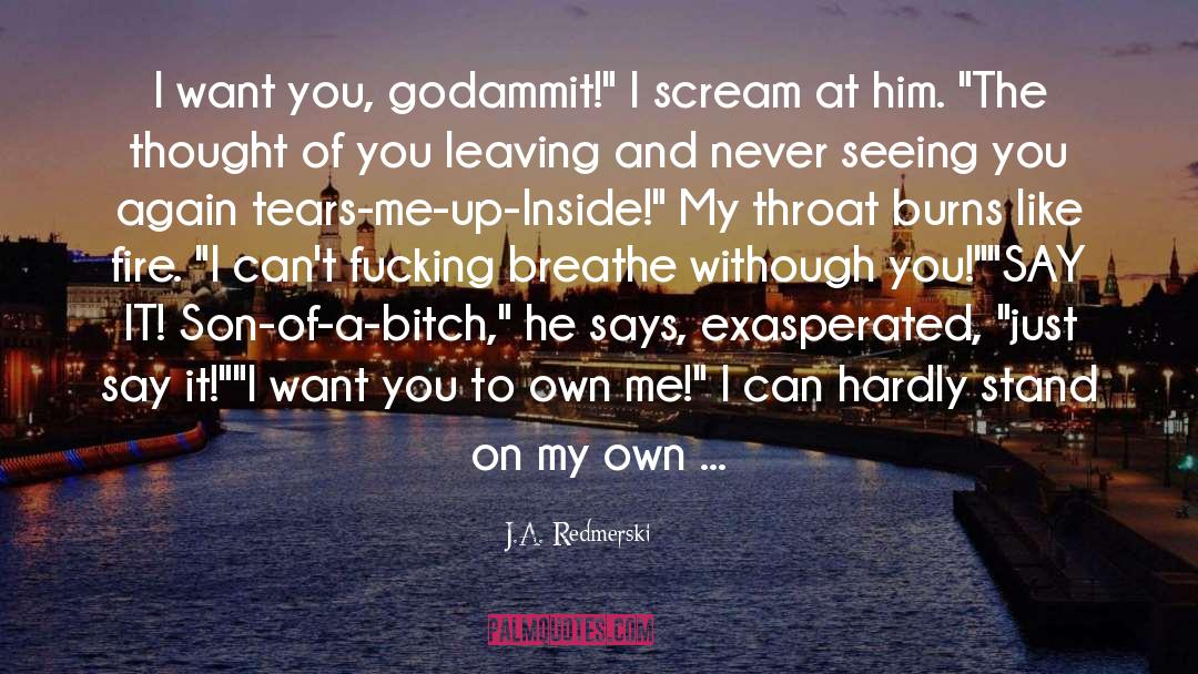 Sobs quotes by J.A. Redmerski