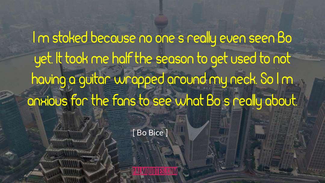 Soccer Fans quotes by Bo Bice