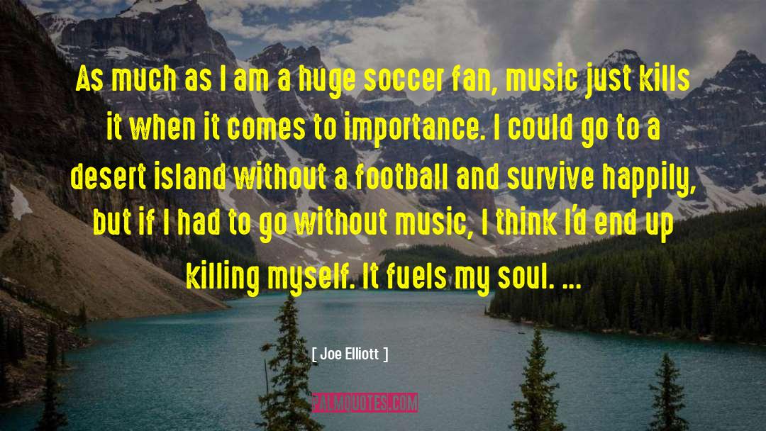 Soccer Fans quotes by Joe Elliott