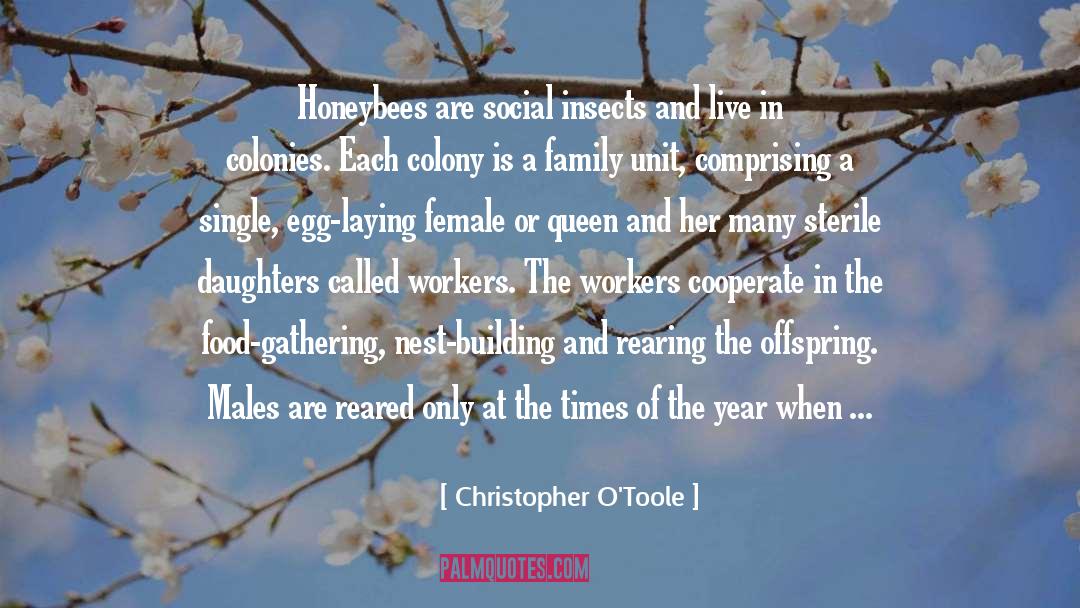 Social Acceptance quotes by Christopher O'Toole