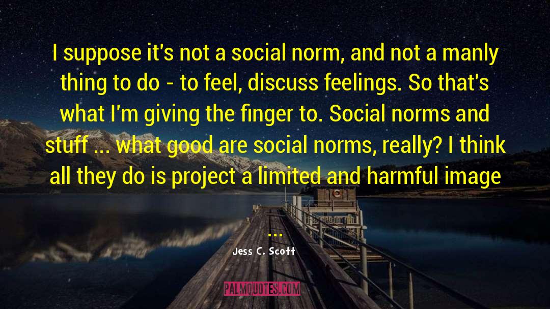 Social Acceptance quotes by Jess C. Scott