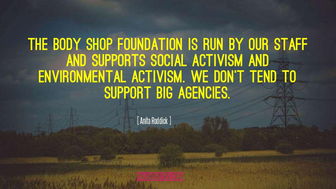 Social Activism quotes by Anita Roddick