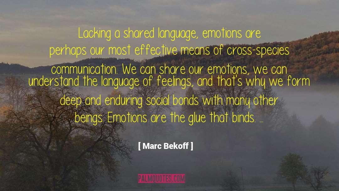 Social Bonds quotes by Marc Bekoff