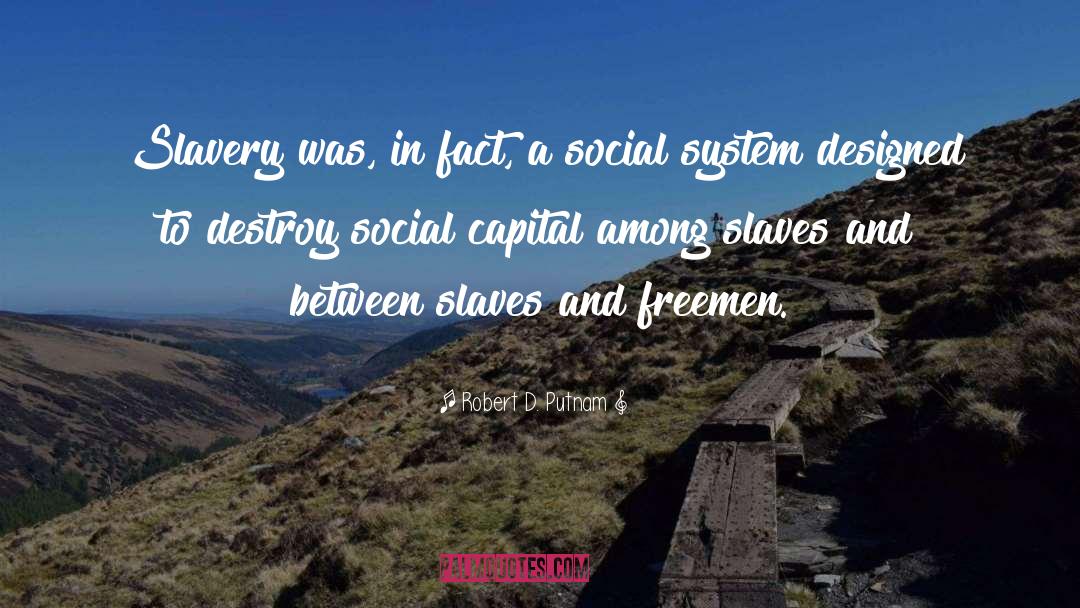 Social Capital quotes by Robert D. Putnam