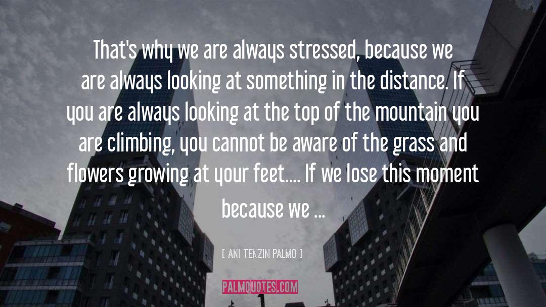 Social Climbing quotes by Ani Tenzin Palmo