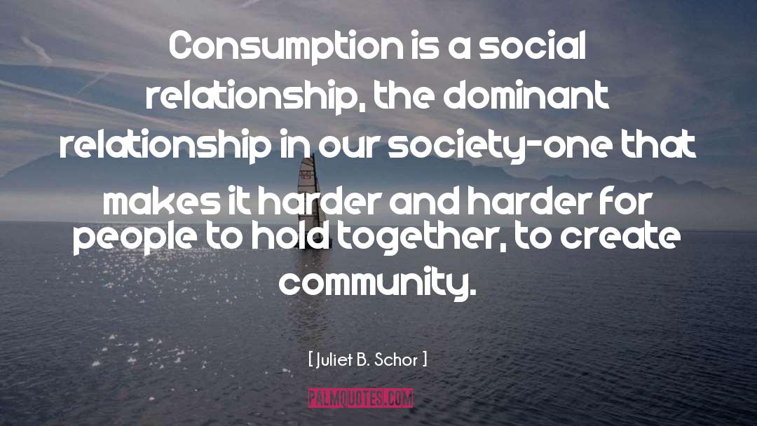 Social Construction quotes by Juliet B. Schor