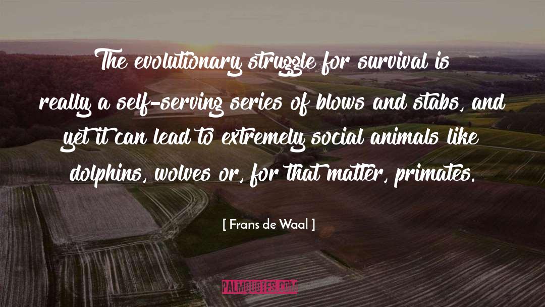 Social Conventions quotes by Frans De Waal