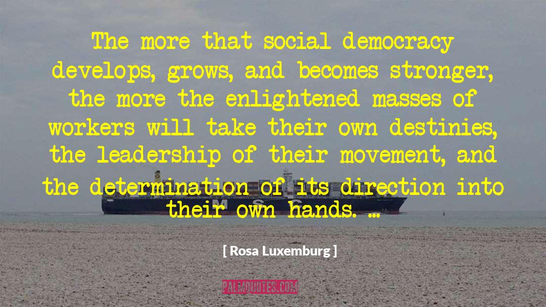 Social Democracy quotes by Rosa Luxemburg