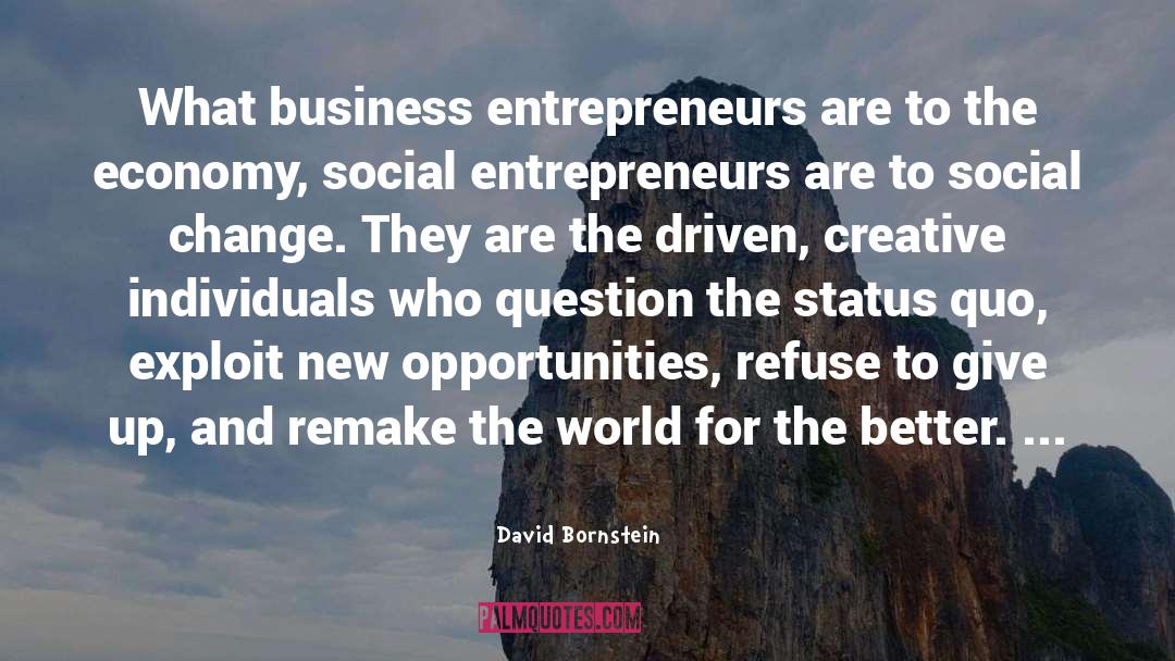 Social Entrepreneurship quotes by David Bornstein