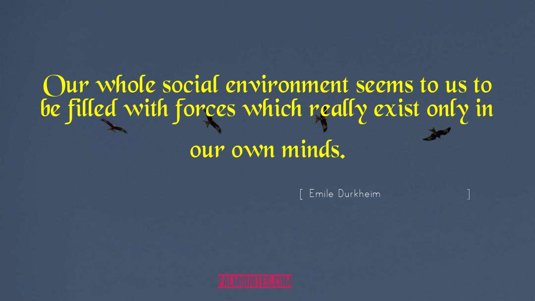 Social Environment quotes by Emile Durkheim
