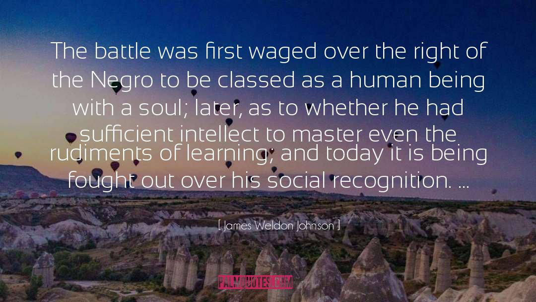 Social Environment quotes by James Weldon Johnson