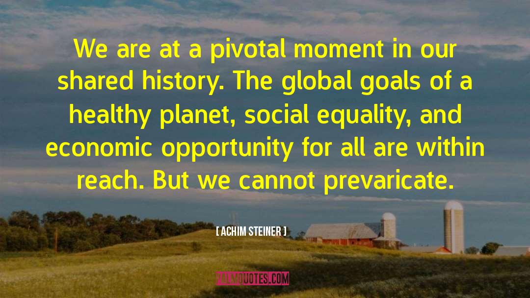Social Equality quotes by Achim Steiner